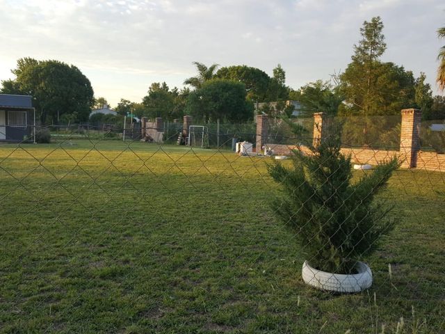 place photo 7