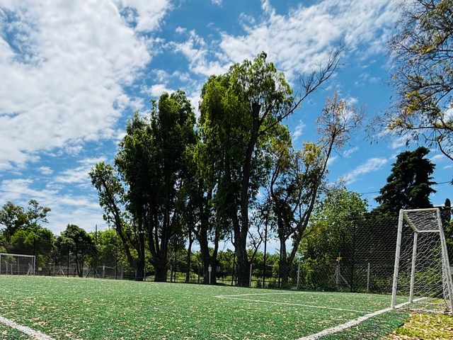 place photo 13