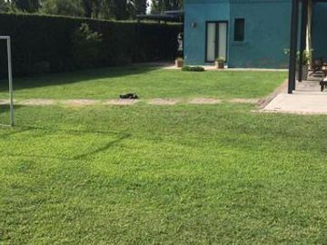 place photo 12