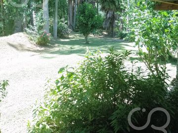 place photo 53