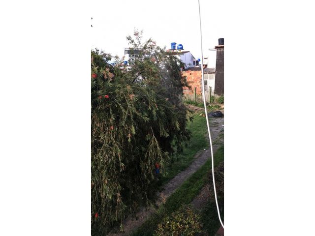 place photo 23