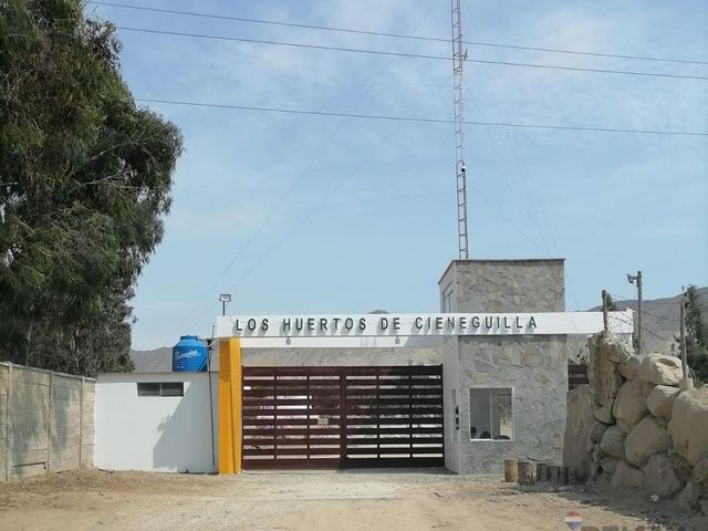 place photo 18