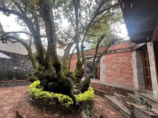 place photo 9