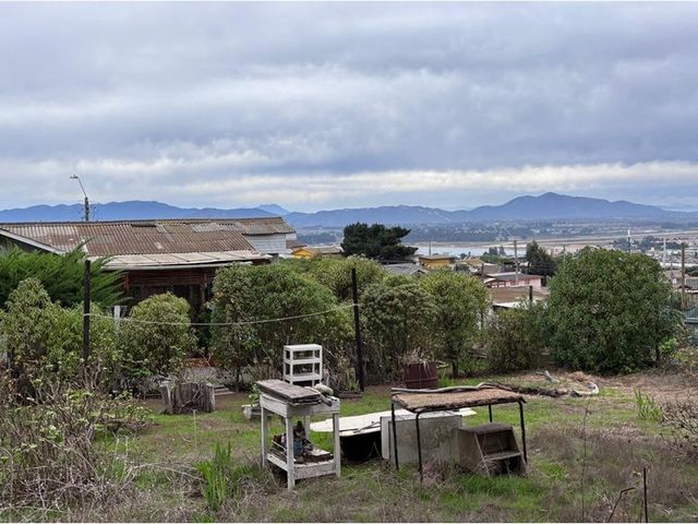 place photo 36