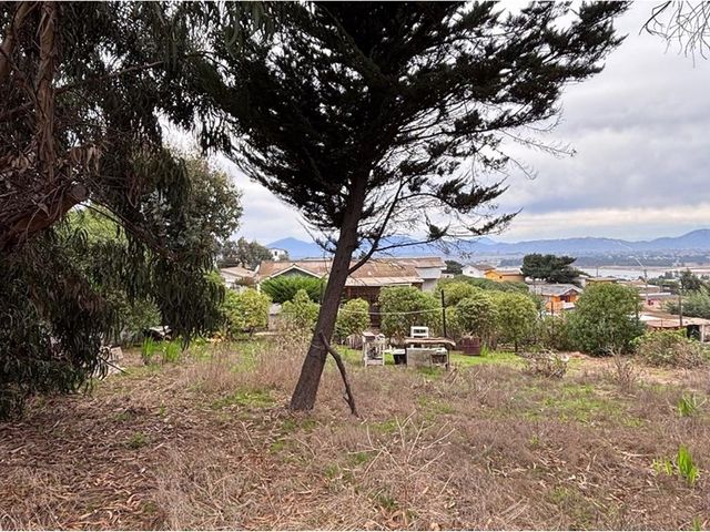 place photo 35