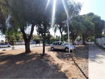 place photo 25