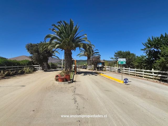place photo 27