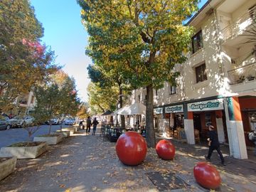 place photo 20