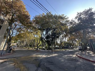 place photo 41