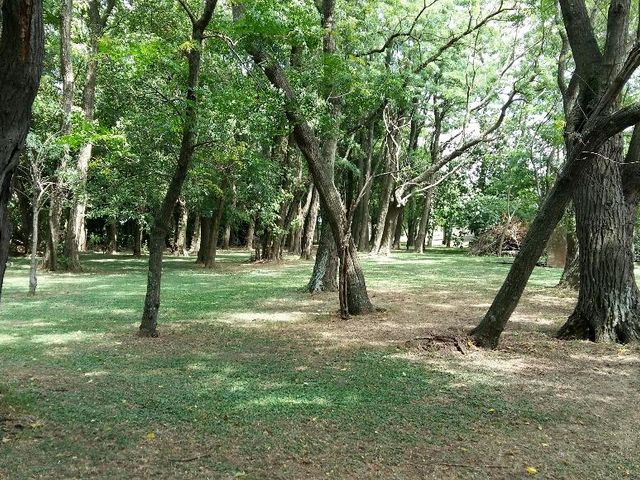 place photo 25