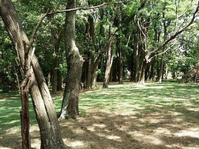place photo 26