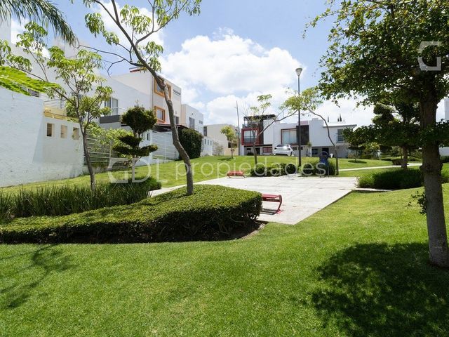 place photo 41