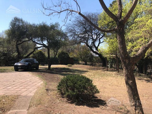 place photo 26