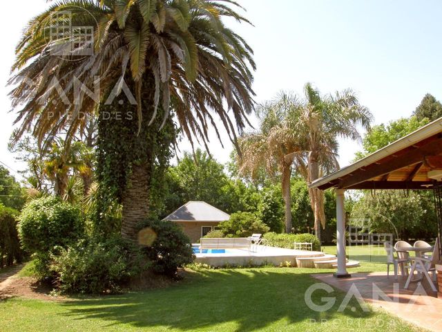 place photo 13