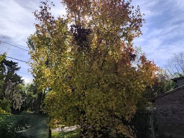 place photo 33