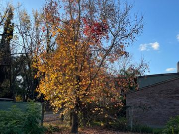 place photo 34