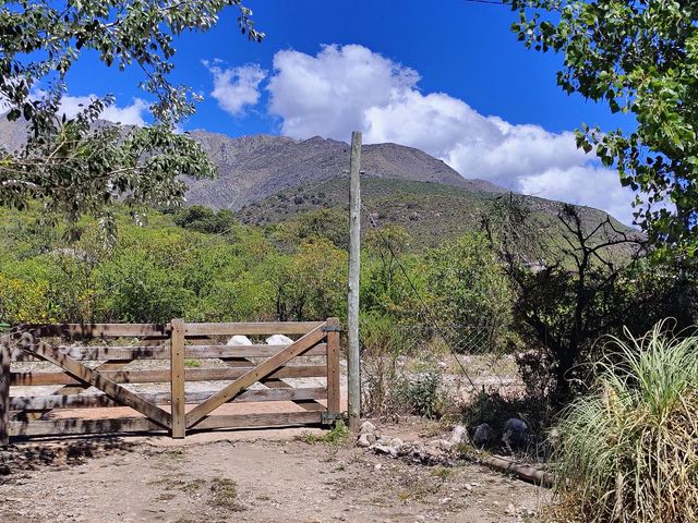 place photo 45