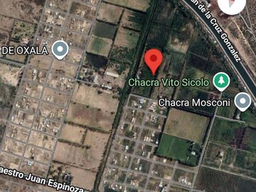 place photo 12