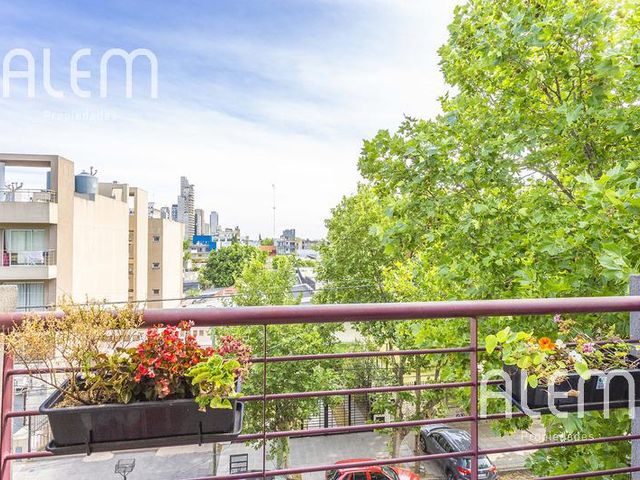place photo 16