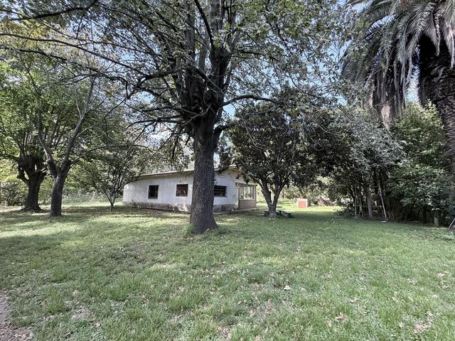 place photo 28