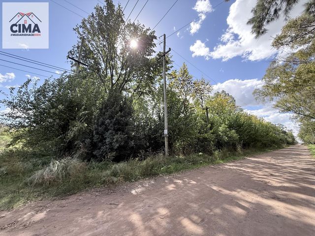 place photo 36
