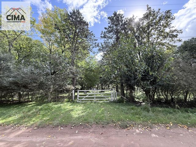 place photo 34