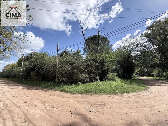 place photo 32