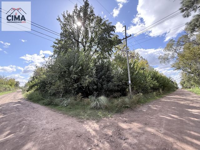 place photo 35