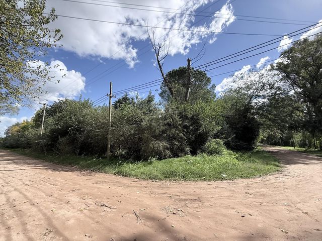 place photo 33
