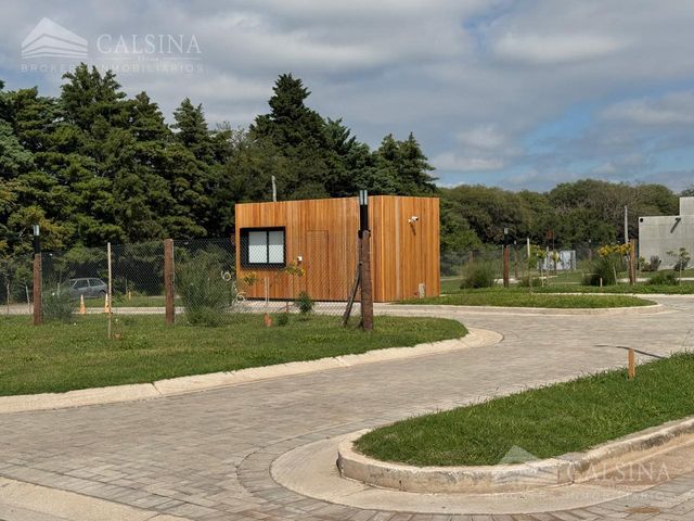 place photo 37