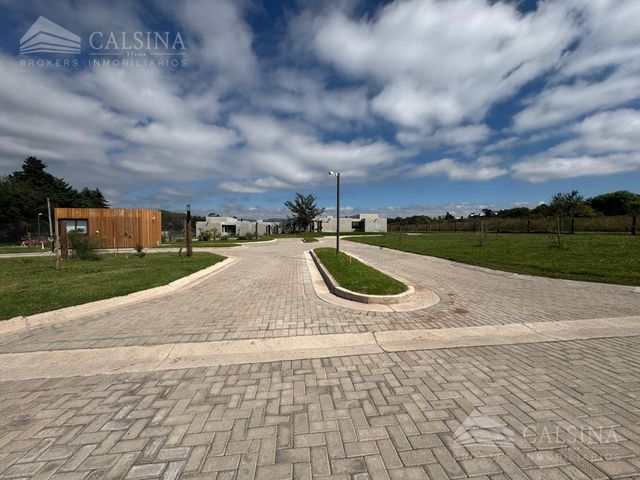 place photo 39