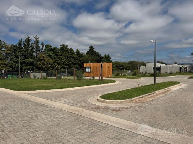 place photo 36