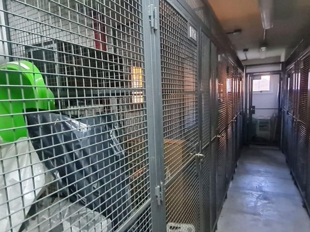 place photo 33