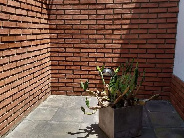 place photo 35