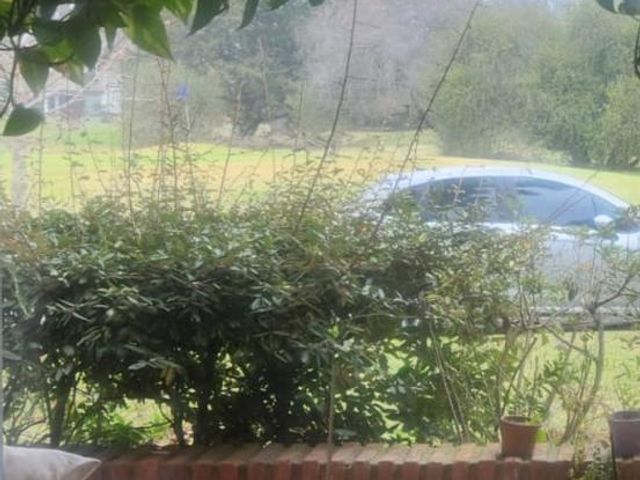 place photo 33