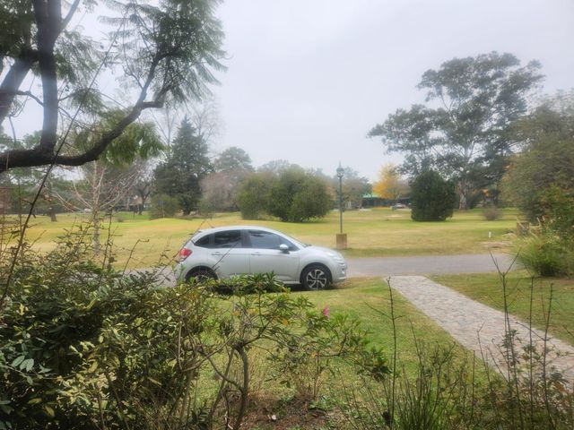 place photo 34