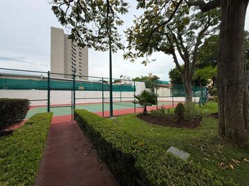 place photo 38