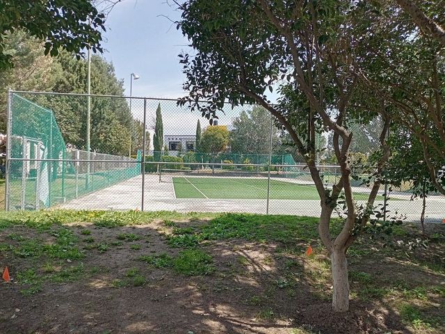 place photo 34