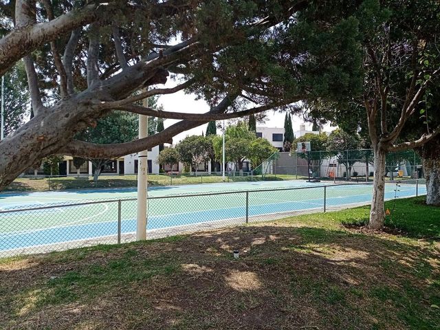 place photo 29