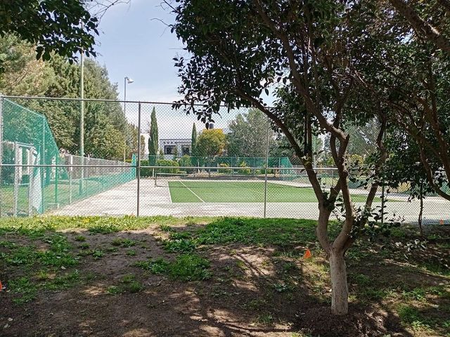 place photo 32