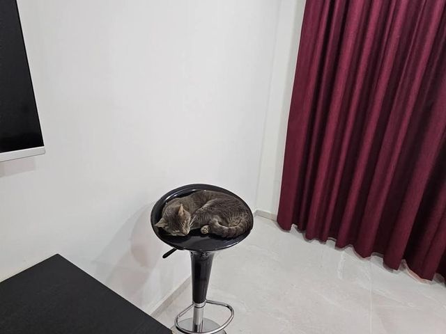 place photo 45