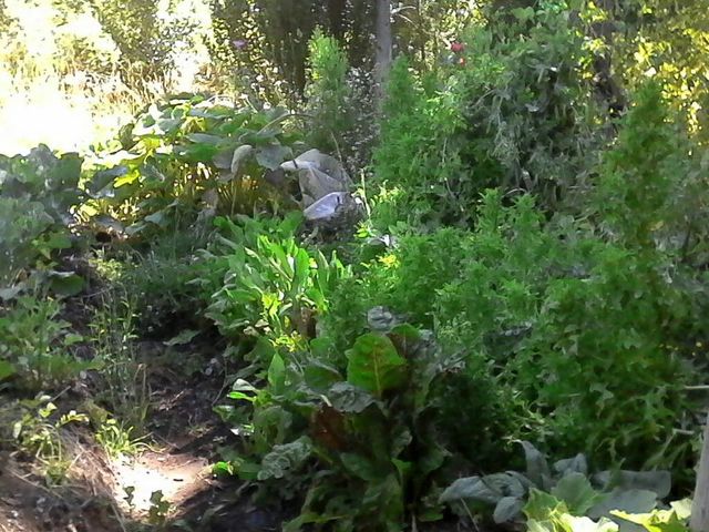place photo 30