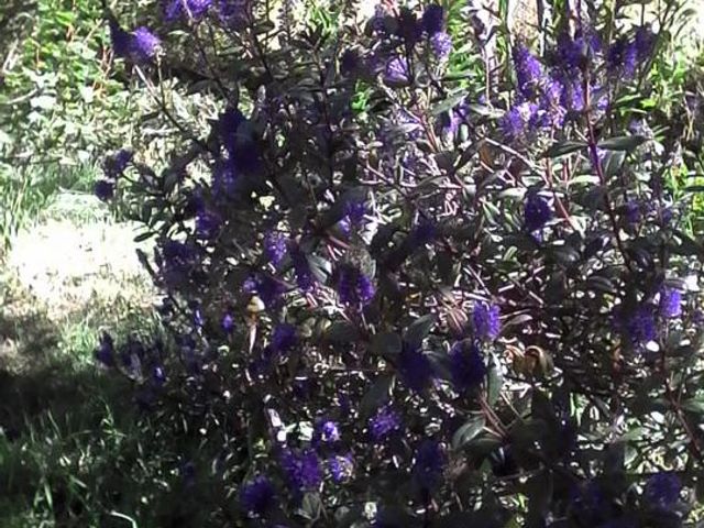 place photo 10