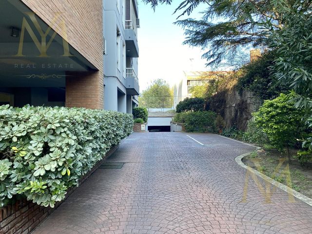 place photo 61