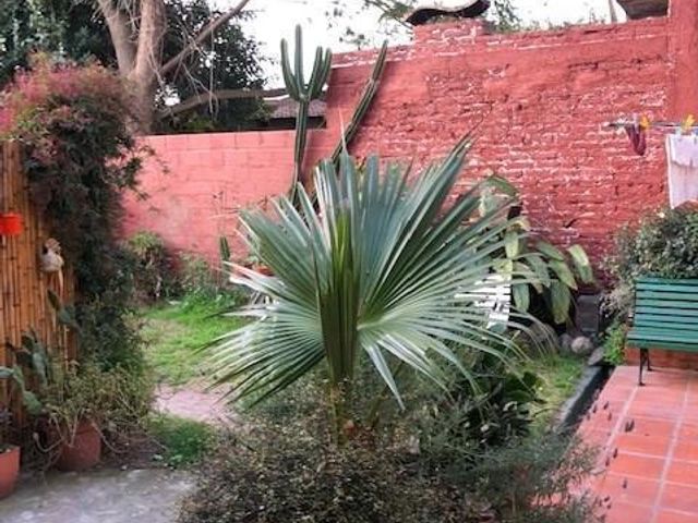 place photo 26