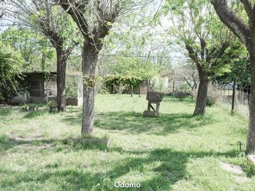 place photo 17