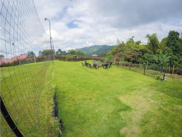 place photo 44