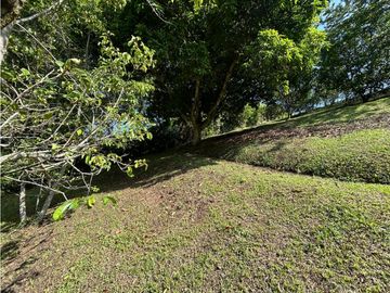 place photo 46