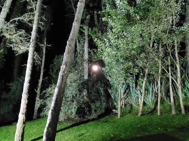 place photo 84