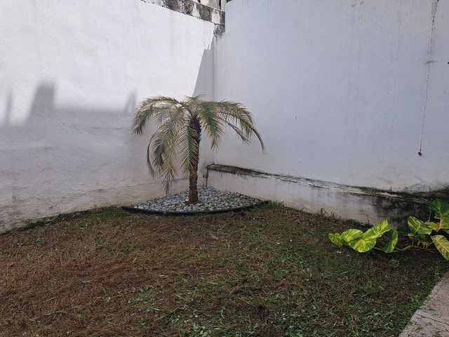 place photo 31
